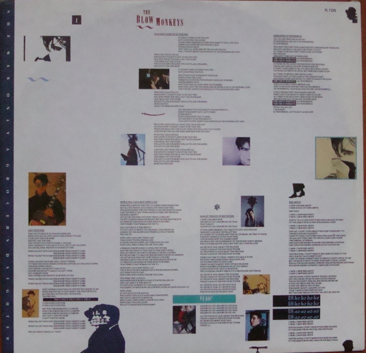The Blow Monkeys ‎– She Was Only A Grocer's Daughter PL 71245 Pop,Rock,Funk ,Soul