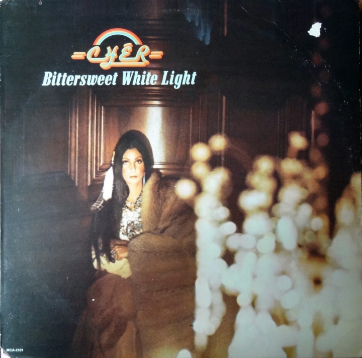 レコード, 黑膠唱片, plastinki, ቪዳልስ መዝገቦች, Disko Biniloak, বিশেষ একধরনের প্লাস্টিক রেকর্ড, вінілавыя пласцінкі, ဗီနိုင်းမှတ်တမ်း,CHER BITTERSWEET WHITE LIGHT 