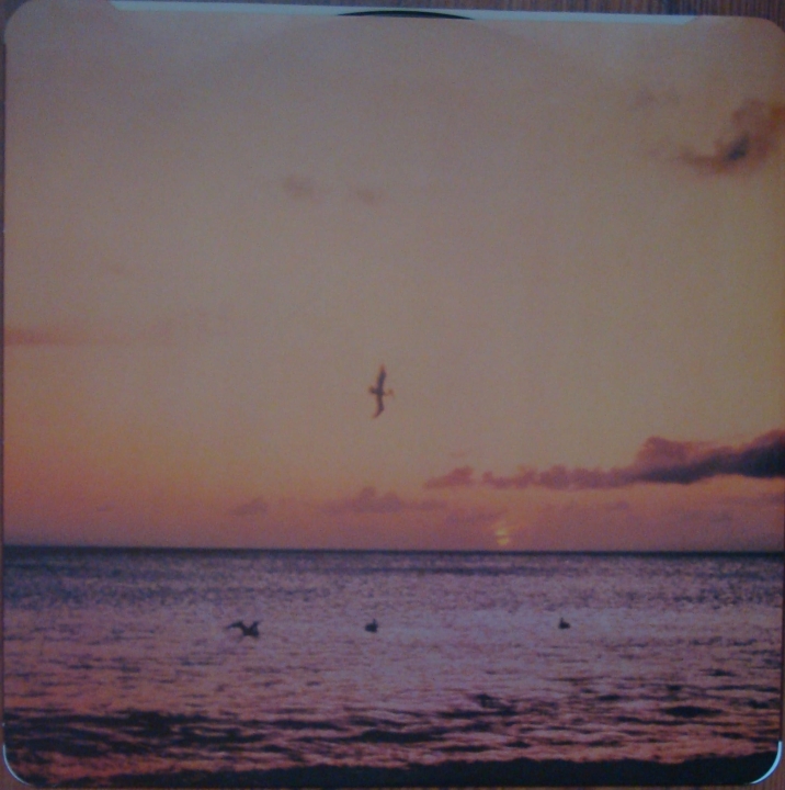 047-crop.JPG