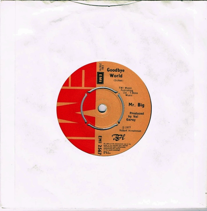 Płyty Winylowe, Mr. Big