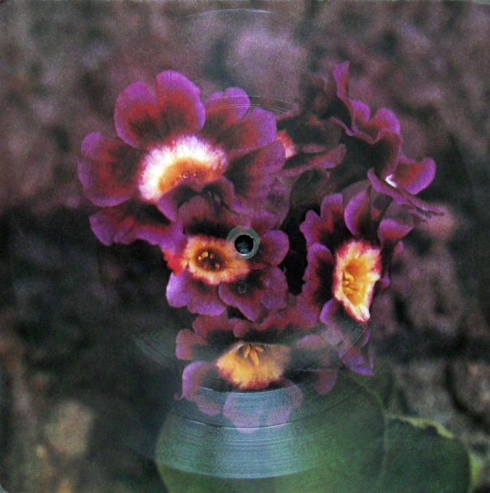 El Passadore / Plastic Bertrand ‎– Amado Mio, Amore Mio / Bambino Tonpress ‎– R-0690-II Flexi-disc, 7", 45 RPM, Card Backed, Picture Disc, Mono