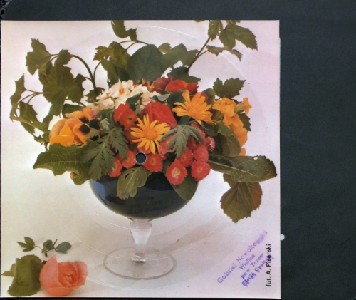 Renat Danel - We Dwoje, Pragnę Zmienić Się Tonpress ‎– R-0854-II Flexi-disc, 7", 45 RPM, Single Sided, Card Backed, Sound Postcard, Mono 