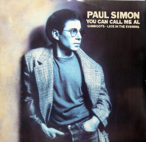 Płyty Winylowe, Paul Simon