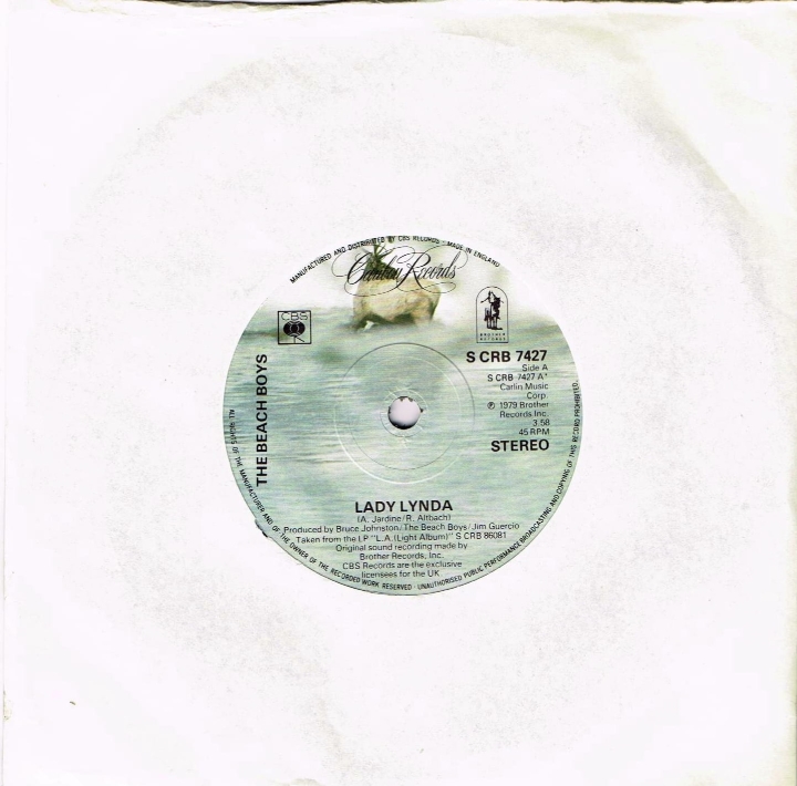 Płyty Winylowe, Beach Boys