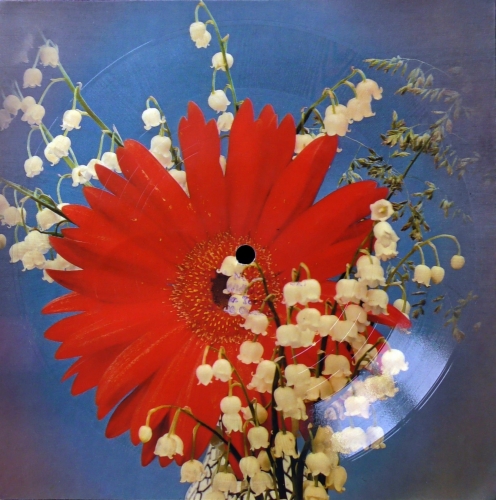 I. Jarocka ‎– Jak To Będzie Bez Ciebie  Tonpress ‎– R-0689  Flexi-disc, 7", 45 RPM, Single Sided, Card Backed, Picture Disc, Mono 