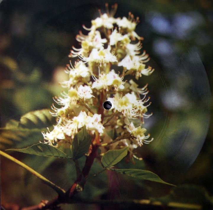 Dalida, Fuji Jama ‎– Le Lambeth Walk / Summer-'78  Tonpress ‎– R-0724-II  Flexi-disc, 7", 45 RPM, Shape, Single Sided, Card Backed, Mono