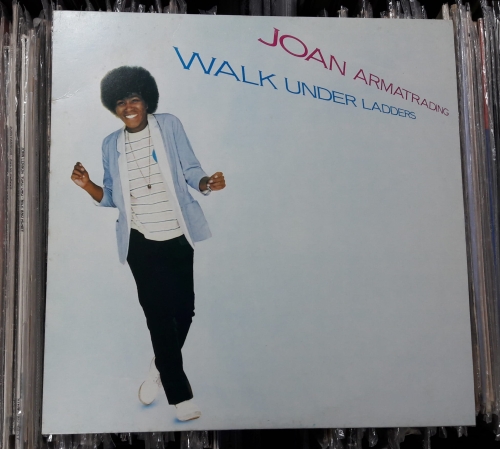 Joan Armatrading ‎– Walk Under Ladders AMLH 64876 Vinyl , LP