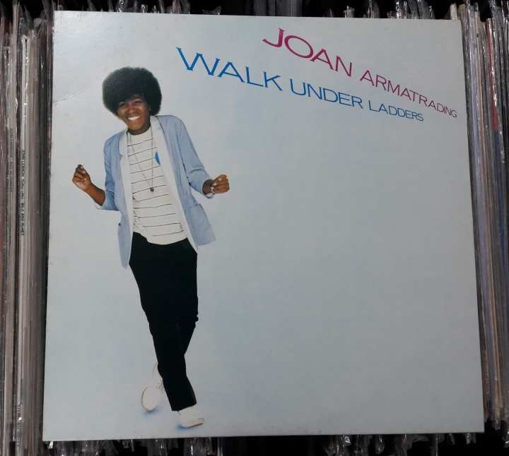 Joan Armatrading ‎– Walk Under Ladders AMLH 64876 Vinyl , LP
