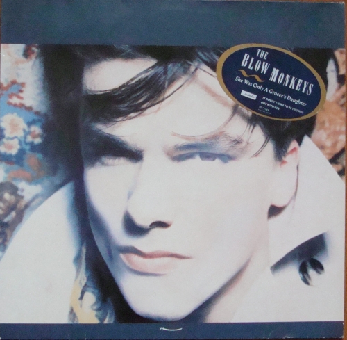 The Blow Monkeys ‎– She Was Only A Grocer's Daughter PL 71245 Pop,Rock,Funk ,Soul