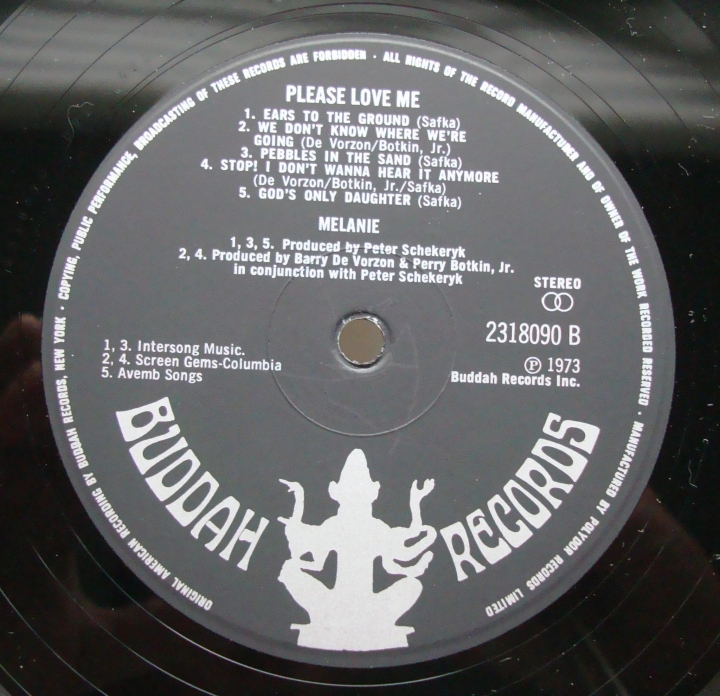 DSC02926-crop.JPG