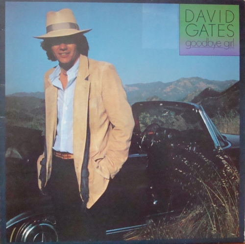 schallplatte,David,Gates,Goodbye,Girl,K52091,Vinyl