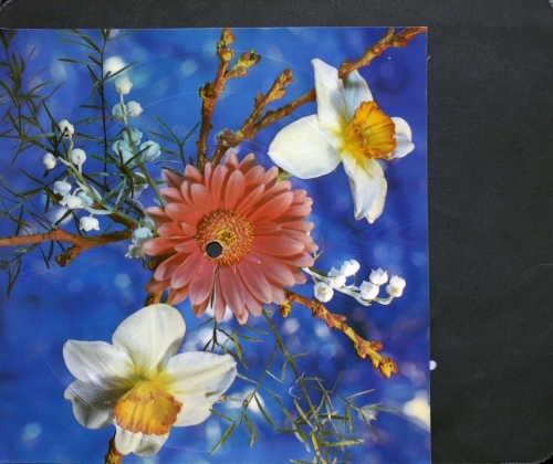 I. Woźniacka / E. Bukowiecka ‎– Jutro Nasz Ślub / Gdzie My Oboje
Label:
Tonpress ‎– R-0580-II
Format:
Vinyl, 7", 45 RPM, Single Sided, Card Backed, Picture Disc, Mono 
