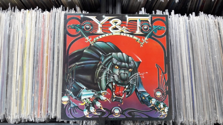 Y & T ‎– Black Tiger A&M Records ‎– AMLH 64910 A1 / B1 Vinyl, LP, Album