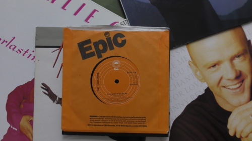 The Jacksons ‎– Shake Your Body (Down To The Ground) Epic ‎– S EPC 7181