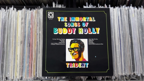 Trident ‎– The Immortal Songs Of Buddy Holly Avenue ‎– AVE 0137 Vinyl, LP, Album