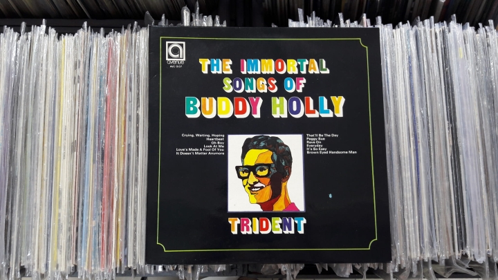 Trident ‎– The Immortal Songs Of Buddy Holly Avenue ‎– AVE 0137 Vinyl, LP, Album