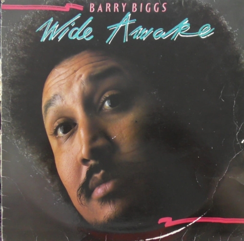 Barry Biggs ‎– Wide Awake Afrik International ‎– AFLP 001