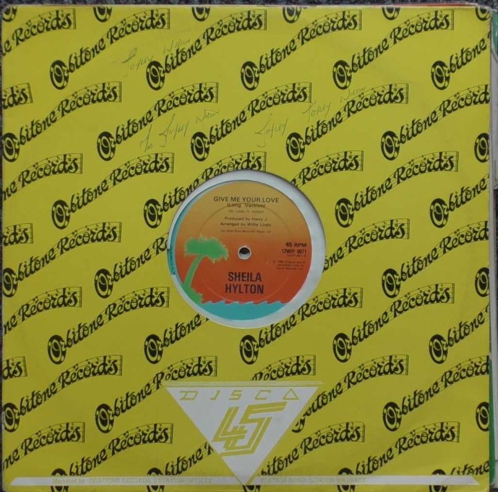 Sheila Hylton ‎– Bed's Too Big Without You Island Records ‎– 12WIP 6671