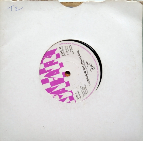 Toyah ‎– Thunder In The Mountains Safari Records ‎– SAFE 38