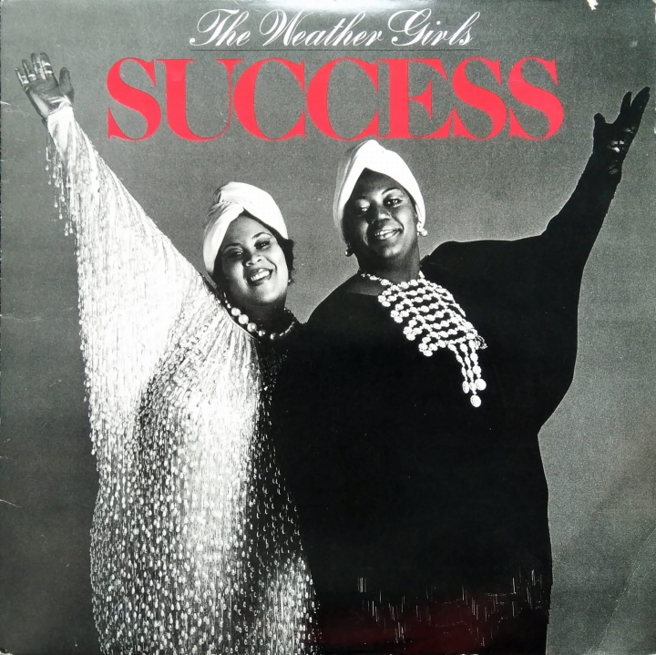 The Weather Girls ‎– Success CBS ‎– CBS 25719