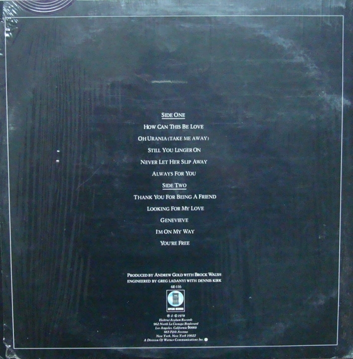 plyty,winylowe,Andrew,Gold,All,This,And,Heaven,Too,6E-116,Stereo