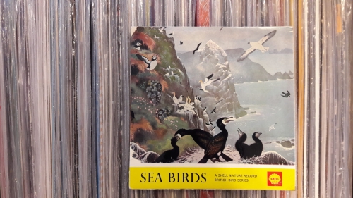 plyty_winylowe_Lawrence_Shove_Sea_Birds_Shel_DCL_701_British_Bird_Series_Vinyl_7_EP_33_RPM