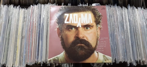 Janusz Rewiński ‎– Zadyma Pronit ‎– PLP 0088