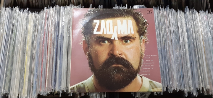 Janusz Rewiński ‎– Zadyma Pronit ‎– PLP 0088