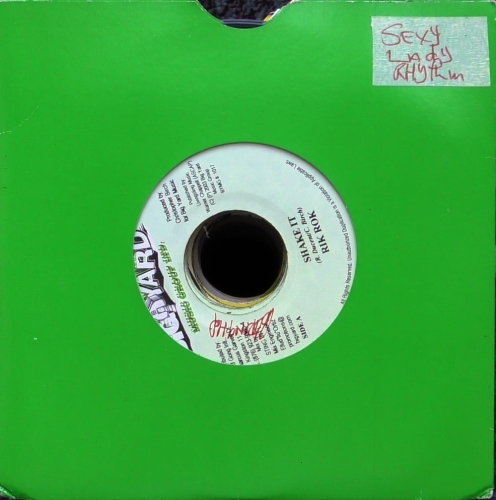 Rik Rok / Christopher Birch – Shake It / Birch In A Mirror Big Yard Music Group Ltd. – BYMG 1017