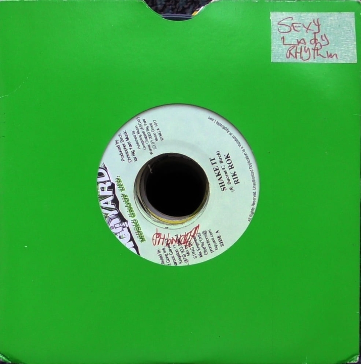 Rik Rok / Christopher Birch – Shake It / Birch In A Mirror Big Yard Music Group Ltd. – BYMG 1017