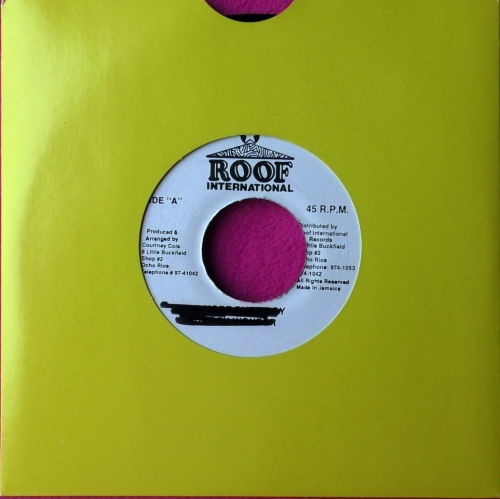 Jigsy King – Rail Up Roof International