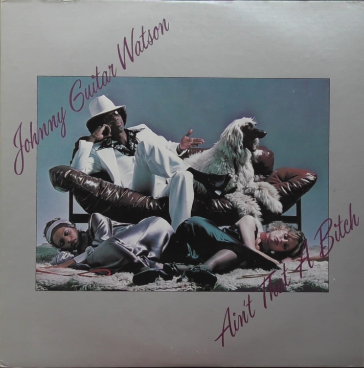 Johnny Guitar Watson – Ain't That A Bitch DJM Records – DJLPA-3