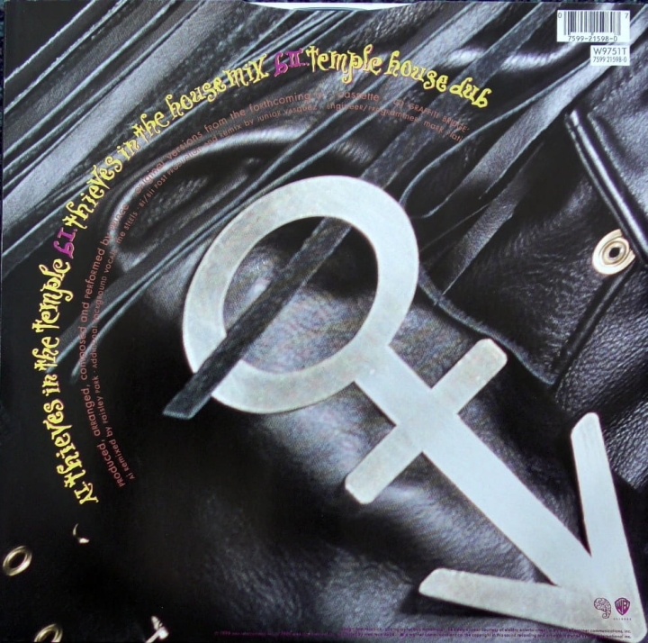 Prince ‎– Thieves In The Temple (Remix) Paisley Park ‎– W9751 (T)
