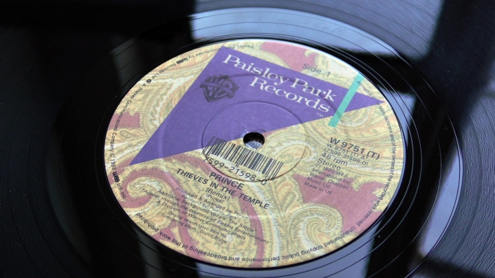 Prince ‎– Thieves In The Temple (Remix) Paisley Park ‎– W9751 (T)