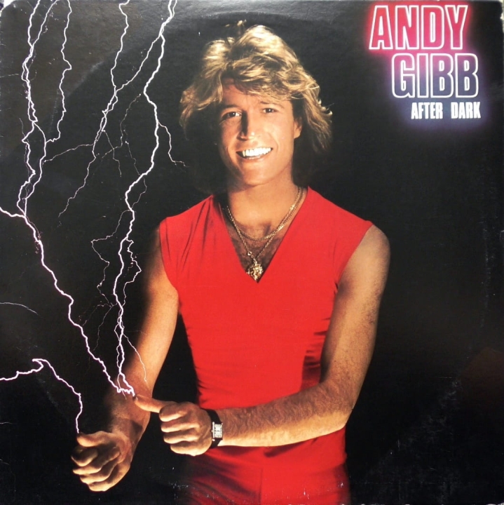 Andy Gibb ‎– After Dark RSO – RS-1-3069