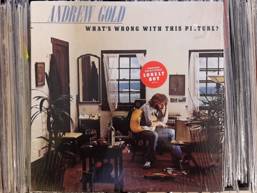Andrew Gold ‎– What's Wrong With This Picture? ,Asylum Records ‎– 7E-1086 Vinyl, LP, Album U.S.A.