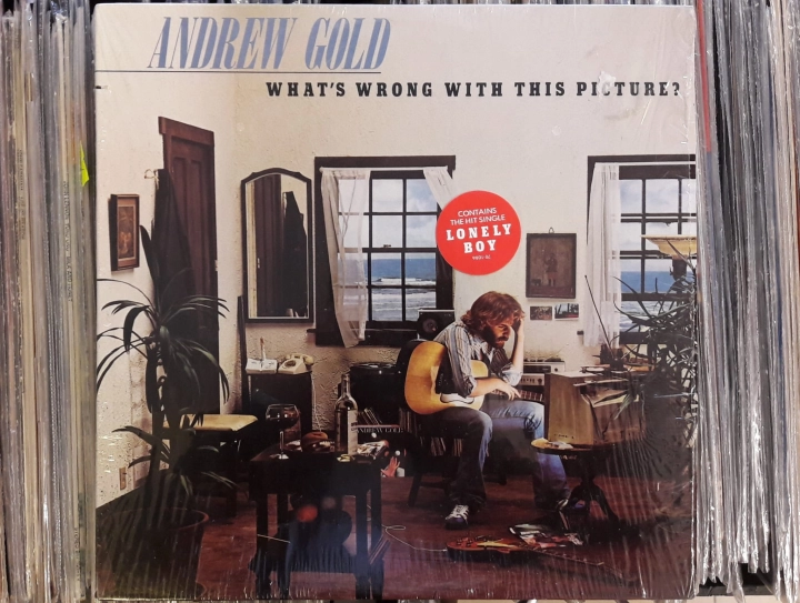 Andrew Gold ‎– What's Wrong With This Picture? ,Asylum Records ‎– 7E-1086 Vinyl, LP, Album U.S.A.