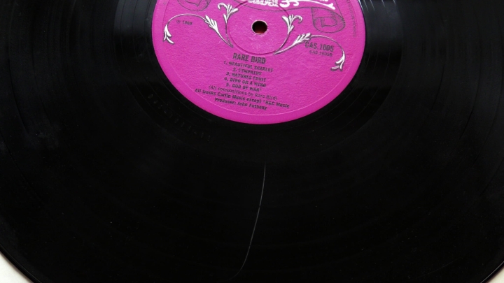 Rare Bird – Rare Bird Charisma – CAS.1005