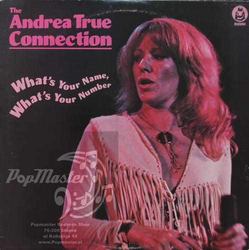 The Andrea True Connection What's Your Name, What's Your Number Buddah Records ‎– BDLP 4054 Vinyl, LP, Album