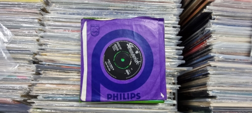 Rick Nelson – Fools Rush In / Down Home Brunswick – 05895