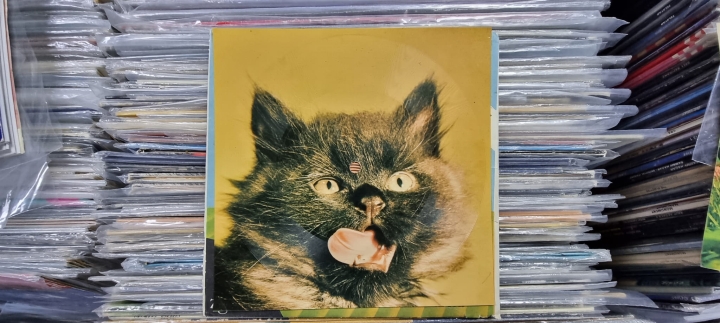 Artyści Scen Warszawskich – Ali Baba I Czterdziestu Rozbójników