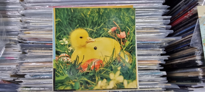 Artyści Scen Warszawskich – Ali Baba I Czterdziestu Rozbójników