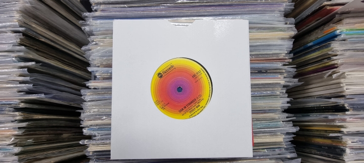 Steely Dan – Haitian Divorce ABC Records – ABC 4152