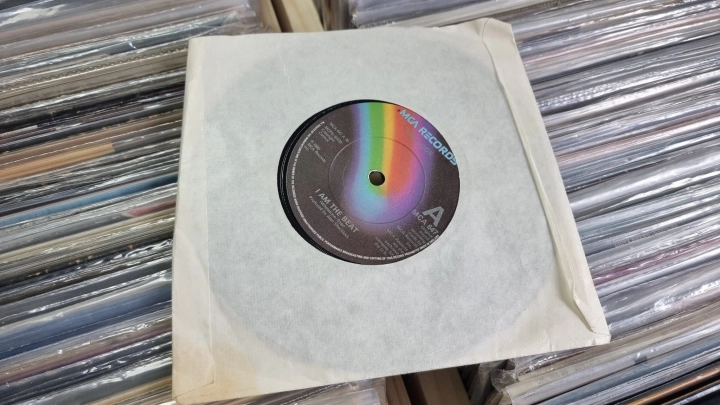 The Look  – I Am The Beat MCA Records – MCA 647