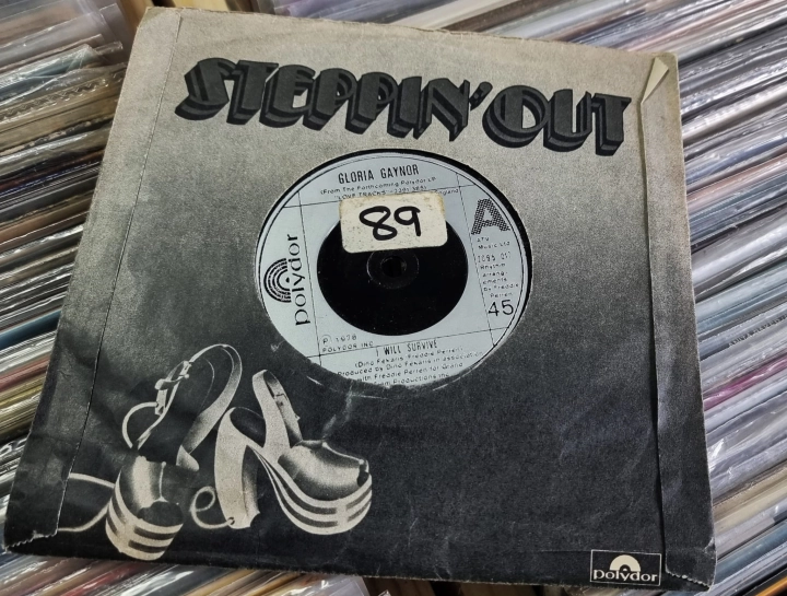 Gloria Gaynor – I Will Survive Polydor – 2095 017