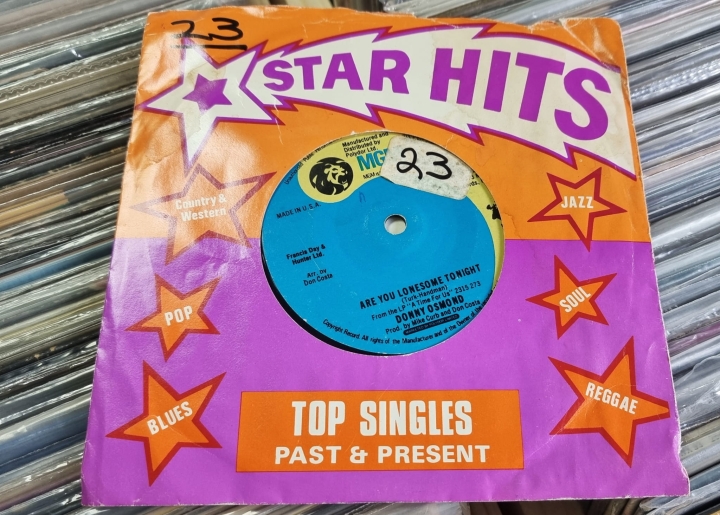 Donny Osmond – When I Fall In Love MGM Records – 2006 365