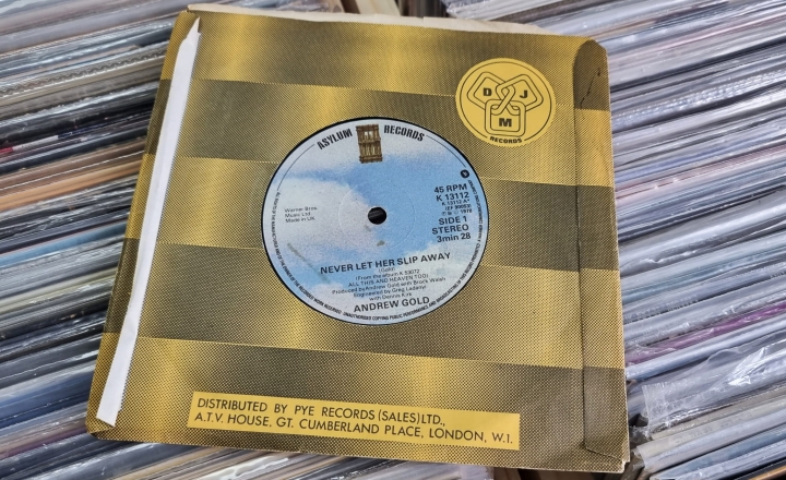 Andrew Gold – Never Let Her Slip Away Asylum Records – K 13112