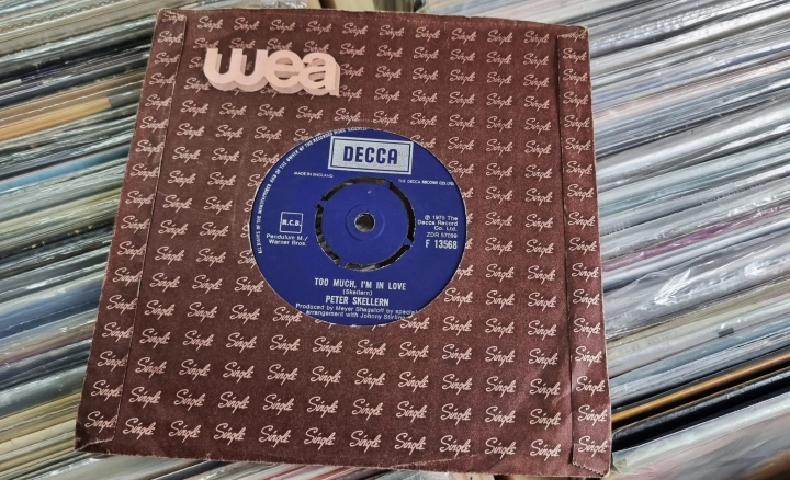 Peter Skellern – Hold On To Love / Too Much, I'm In Love Decca – F 13568