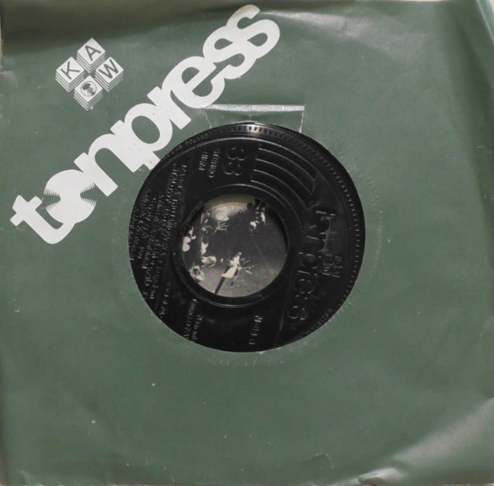 Izabela Trojanowska Z Zespołem "Stalowy Bagaż"* – Przyda Się Do Kartoteki Tonpress – N-54