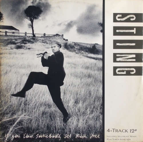 Sting – If You Love Somebody Set Them Free A&M Records – AMY 258